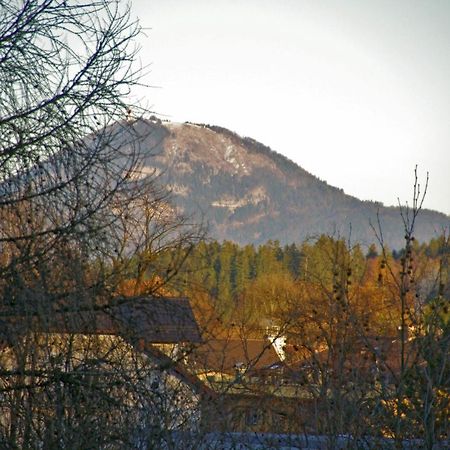 Apartment Bad Reichenhall Bagian luar foto